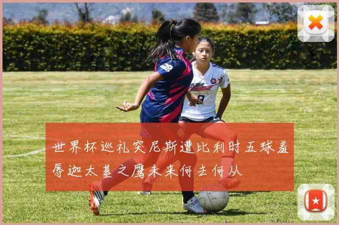 世界杯巡礼突尼斯遭比利时五球羞辱迦太基之鹰未来何去何从